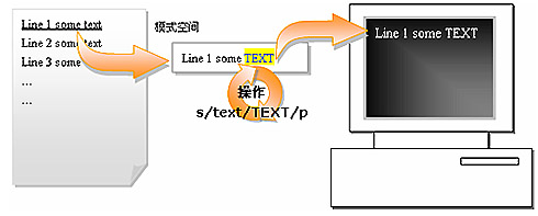 sed原理及p参数的运用的分析_职场